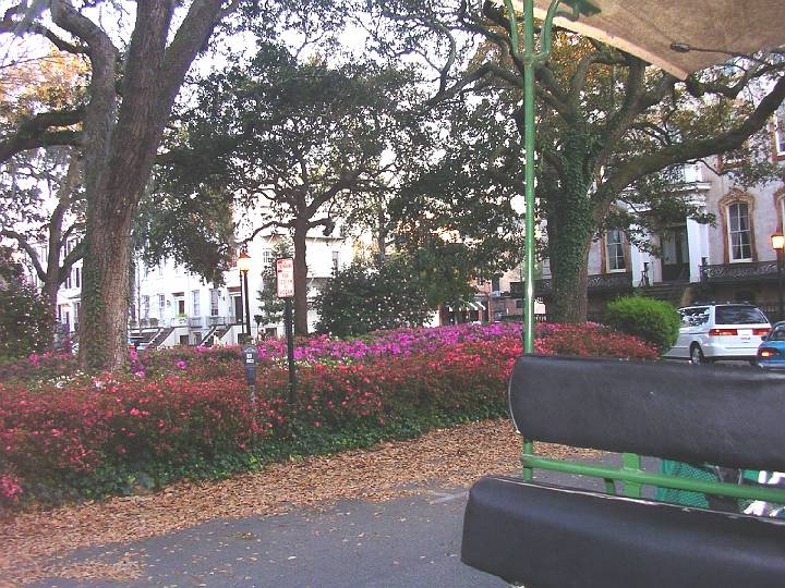 03-23 24 The Carriage Ride.JPG